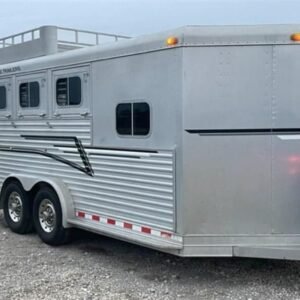 1999 Elite Custom 3 Horse Trailer