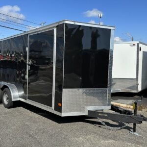 Tandem Axle Enclosed Cargo Trailer